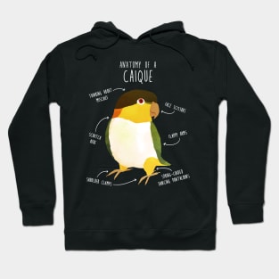 Anatomy of a Black-Headed Caique Hoodie